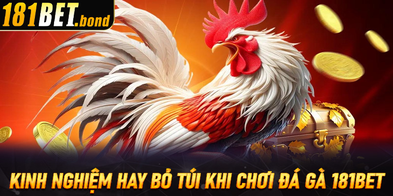 Gợi ý loạt kinh nghiệm hay bỏ túi khi chơi đá gà 181bet