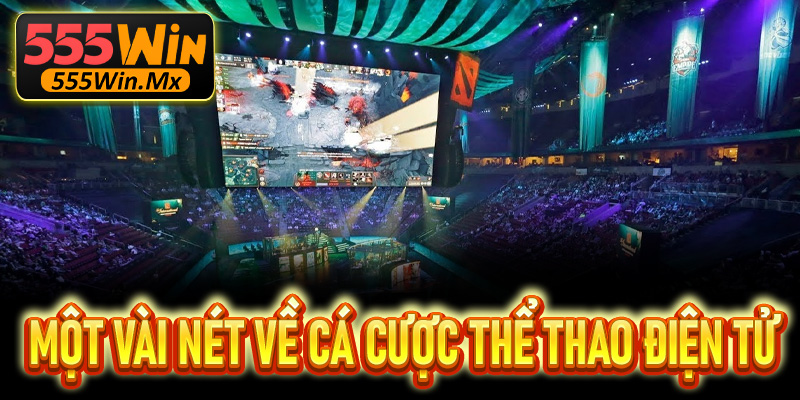 Một vài nét giới thiệu chung về cá cược thể thao điện tử