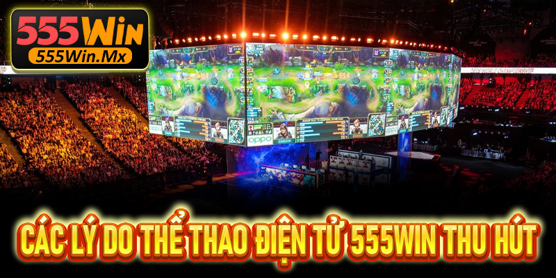 Các lý do cá cược thể thao điện tử 555Win thu hút nhiều hội viên