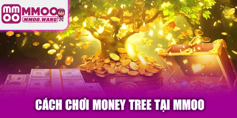 Cách chơi Money Tree tại MMOO