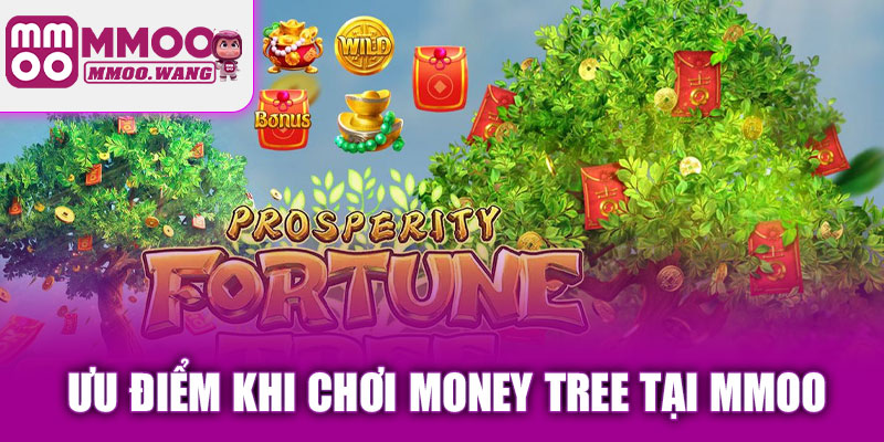 Ưu điểm khi chơi Money Tree tại MMOO